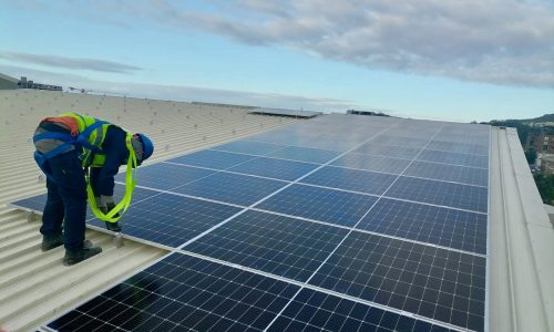 482003006_981101884105558_4961781795323717180_n